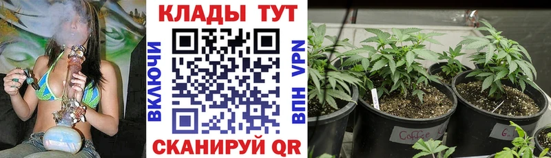 Что такое Невель Марихуана  Меф мяу мяу  А ПВП  ГАШИШ 