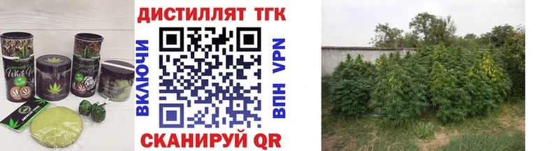 Cannafood конопля  магазин продажи наркотиков  Невель 