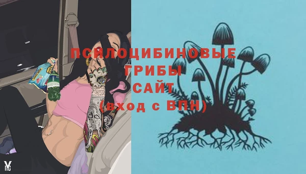 спиды Балабаново